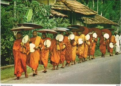 CPM Buddhist Monks CEYLON SRI LANKA (1086069)