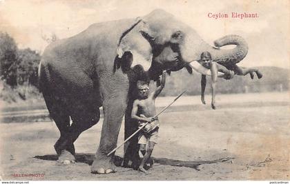 Sri Lanka - Ceylon elephant - Publ. Skeen-Photo