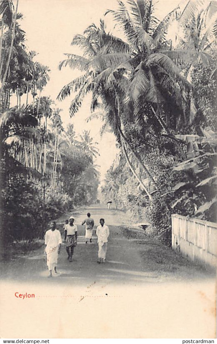 Sri Lanka - Ceylon - A road - Publ. Plâté & Co.