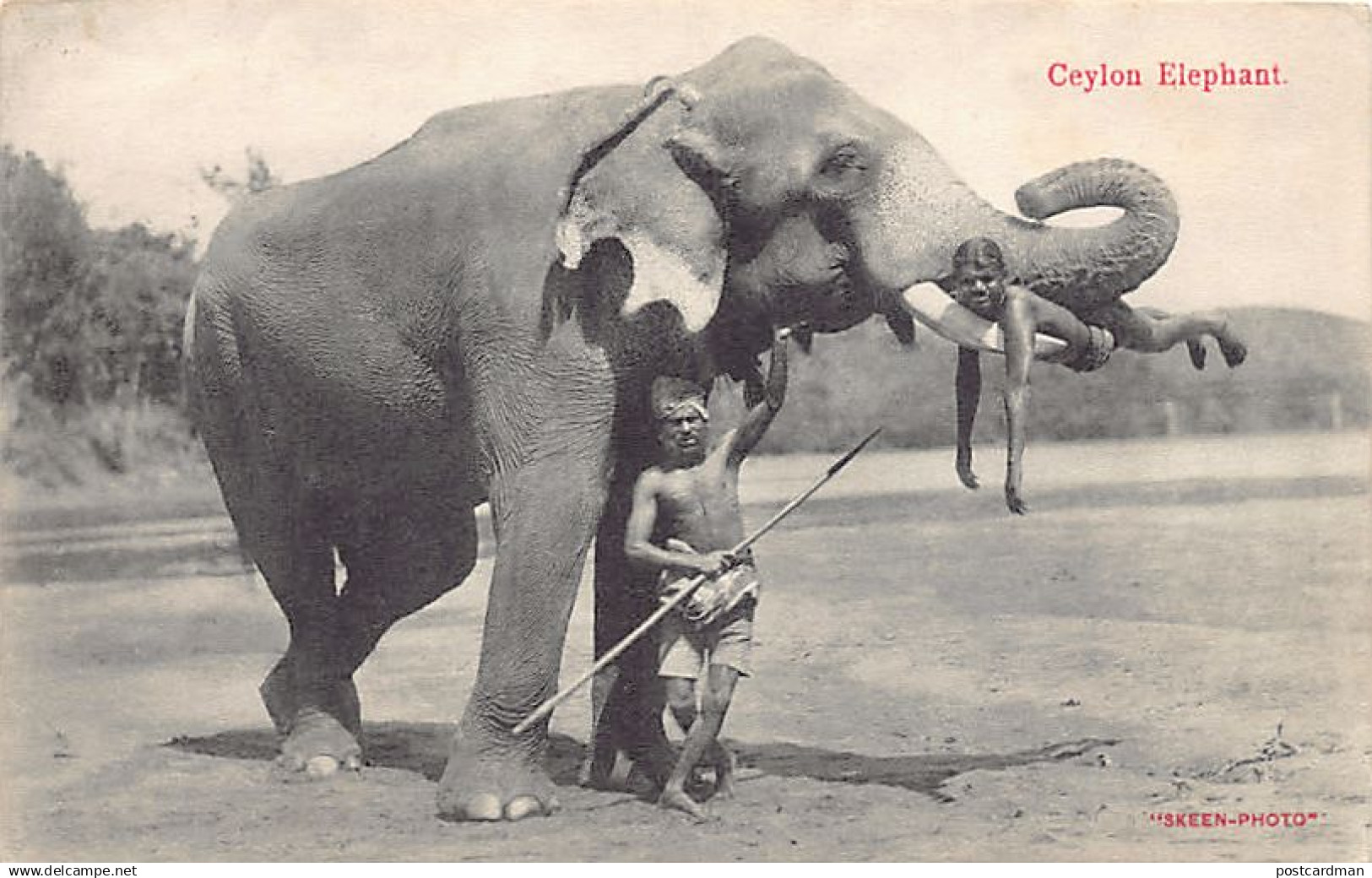 SRI LANKA - Ceylon Elephant - Publ. Skeen-Photo