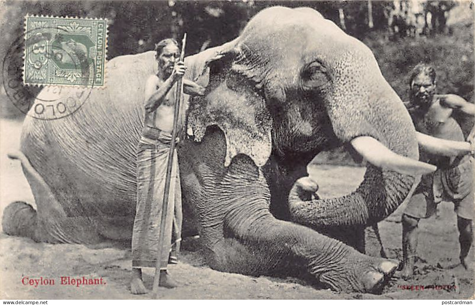 Sri Lanka - Ceylon elephants - Publ. Skeen-Photo