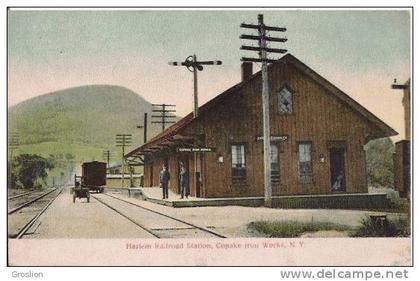 HARLEM RAILROAD STATION COPAKE IRON WORKS N Y (B 267) (WAGON ET ANIMATION)