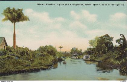 1910. USA. Miami, Florida. Up in the Everglades, Miami River, head of navigation. - JF431670