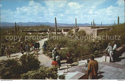 72306898 Tucson Arizona Sonora Desert Museum