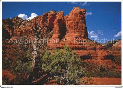 72371104 Sedona Coffee Pot Rock Sedona