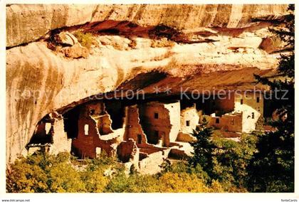 72926235 Mesa Verde National Park Spruce Tree Ruin Cliff dwelling