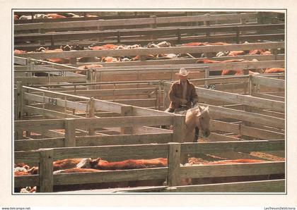 ETATS-UNIS - Amarillo - Troupeau au Corral - animé - cheval - cowboy - Carte Postale