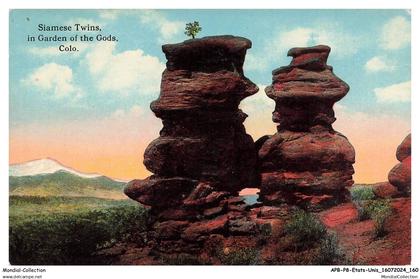 APBP8-0610-ETATS-UNIS - COLORADO - siamese twins - in garden of the gods