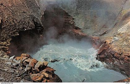 Dragon's Mouth Geyser in YELLOWSTONE Park