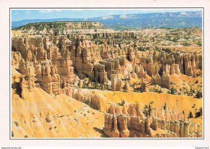 ETATS UNIS BRYCE CANYON BRYCE CANYON NATIONAL PARK