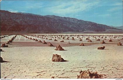 72310143 Death_Valley Borax Gardens Death Valley National Monument