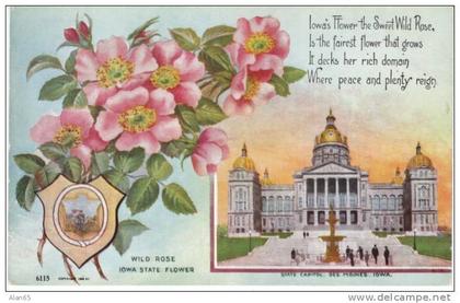 Iowa State Capitol Building , State Flower Wild Rose, Des Moines IA on c1910s Vintage  Postcard