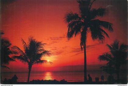 Postcard USA FL Florida sunset 2000