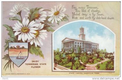 Tennessee State Capitol Building , State Flower Daisy, Nashville TN on c1910s Vintage  Postcard