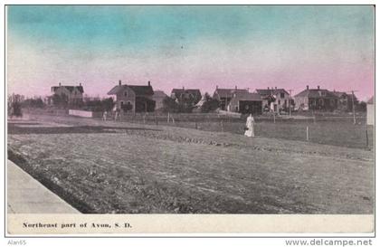 Avon SD South Dakota, View of Town, Houses, c1900s Vintage Postcard