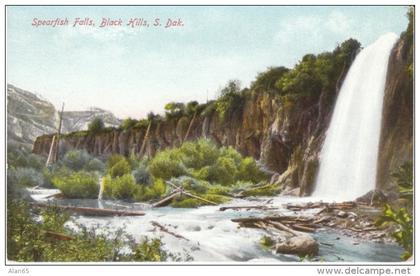 Black Hills SD South Dakota, Spearfish Falls, Waterfall, c1910s Vintage Postcard