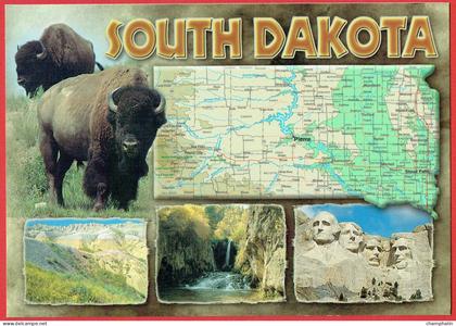 South Dakota - Land of Infinite Variety - Vues diverses - Carte géographique - Bison Mount Rushmore