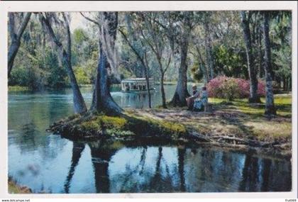 AK 019316 USA - Florida - Silver Springs