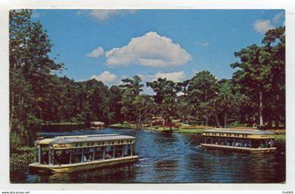 AK 111415 USA - Florida - Silver Springs - glass bottom boat