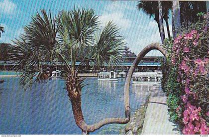 AK 194514 USA - Florida - Silver Springs