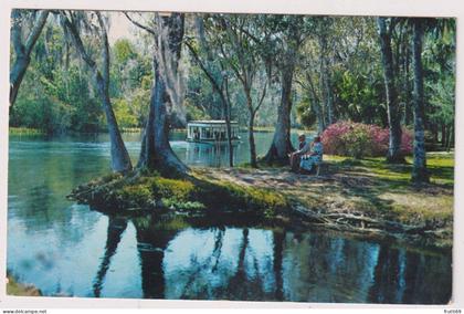 AK 198023 USA - Florida - Along Silver River in famous Silver Springs