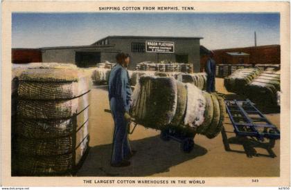 Memphis - Shiping Cotton