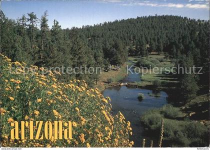 72434231 Arizona US-State White Mountains Little Colorado River