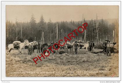 PORT ANGELES-Surveying Party In Big River Valley Near PORT ANGELES Wasch-Carte Photo-Amerika-