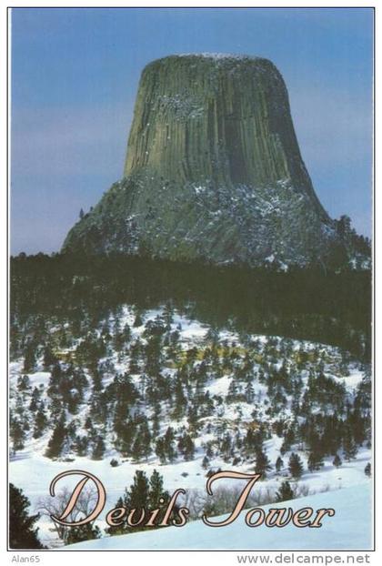 Devil's Tower WY Wyoming, National Monument, Geology, c1980s/90s Vintage Postcard