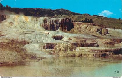 Postcards United States > WY - Wyoming > Yellowstone Minerva terrace 1959