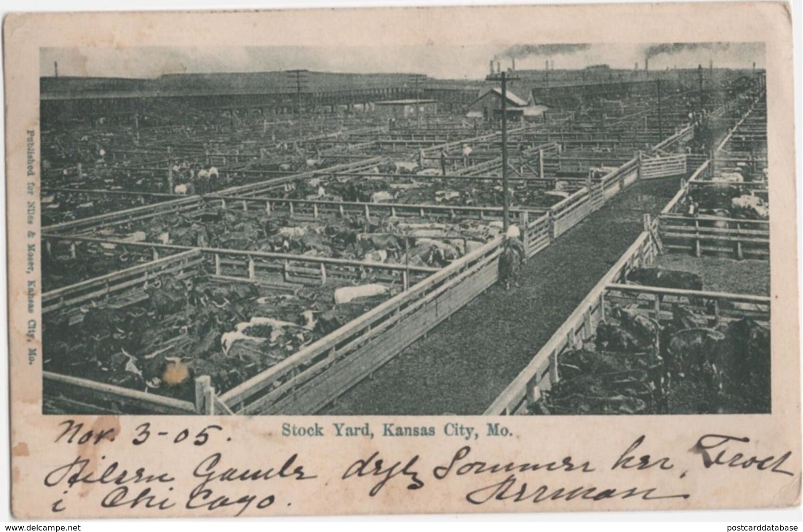 Stock Yard, Kansas City, Mo. - & farming, cattle