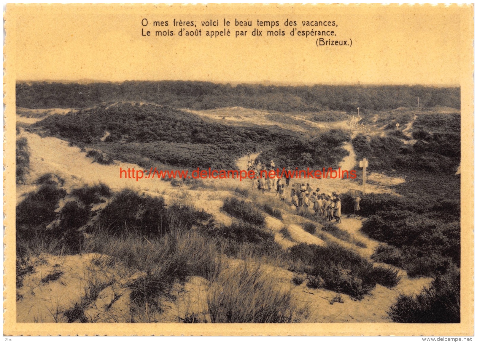 Strand - Middelkerke