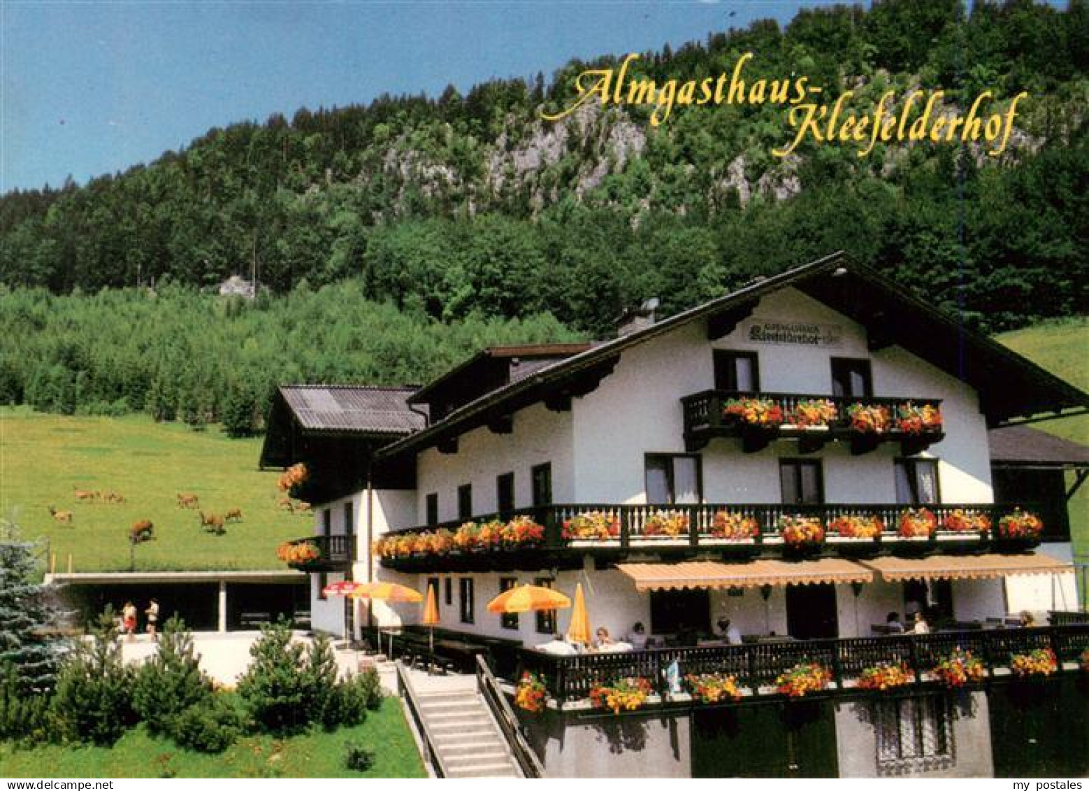 Strobl Wolfgangsee AT Almgasthof Kleefelderhof