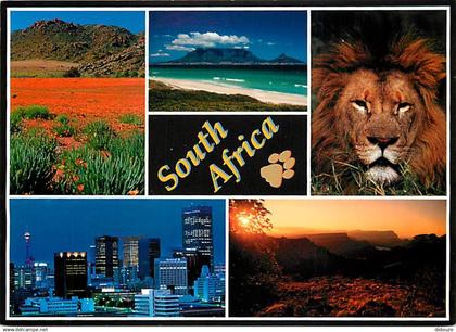 Afrique du Sud - South Africa - Multivues - CPM - Voir Scans Recto-Verso