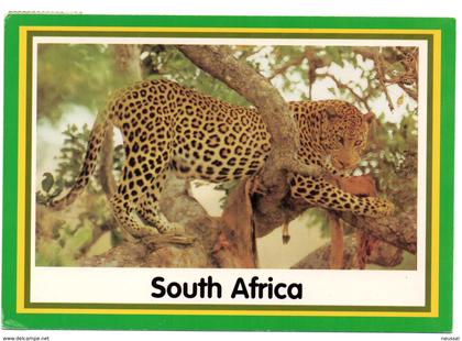 tarjeta postal de sudafrica circulada 2000