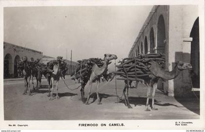 Sudan - Port Sudan , Firewood on Camels 1962