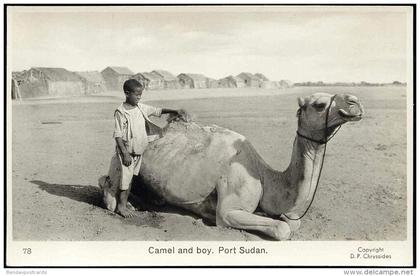 sudan, PORT SUDAN, Native Boy with Camel (1950s) RPPC