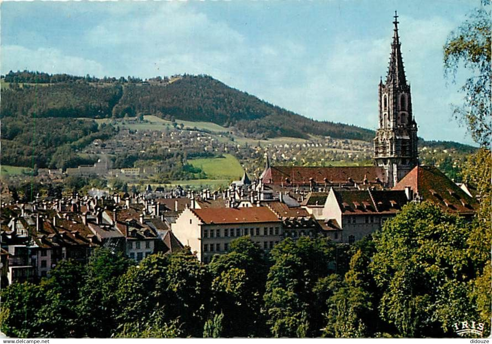 Suisse - BE Berne - Berne - La Cathédrale avec Gurten - CPM - Carte Neuve - Voir Scans Recto-Verso