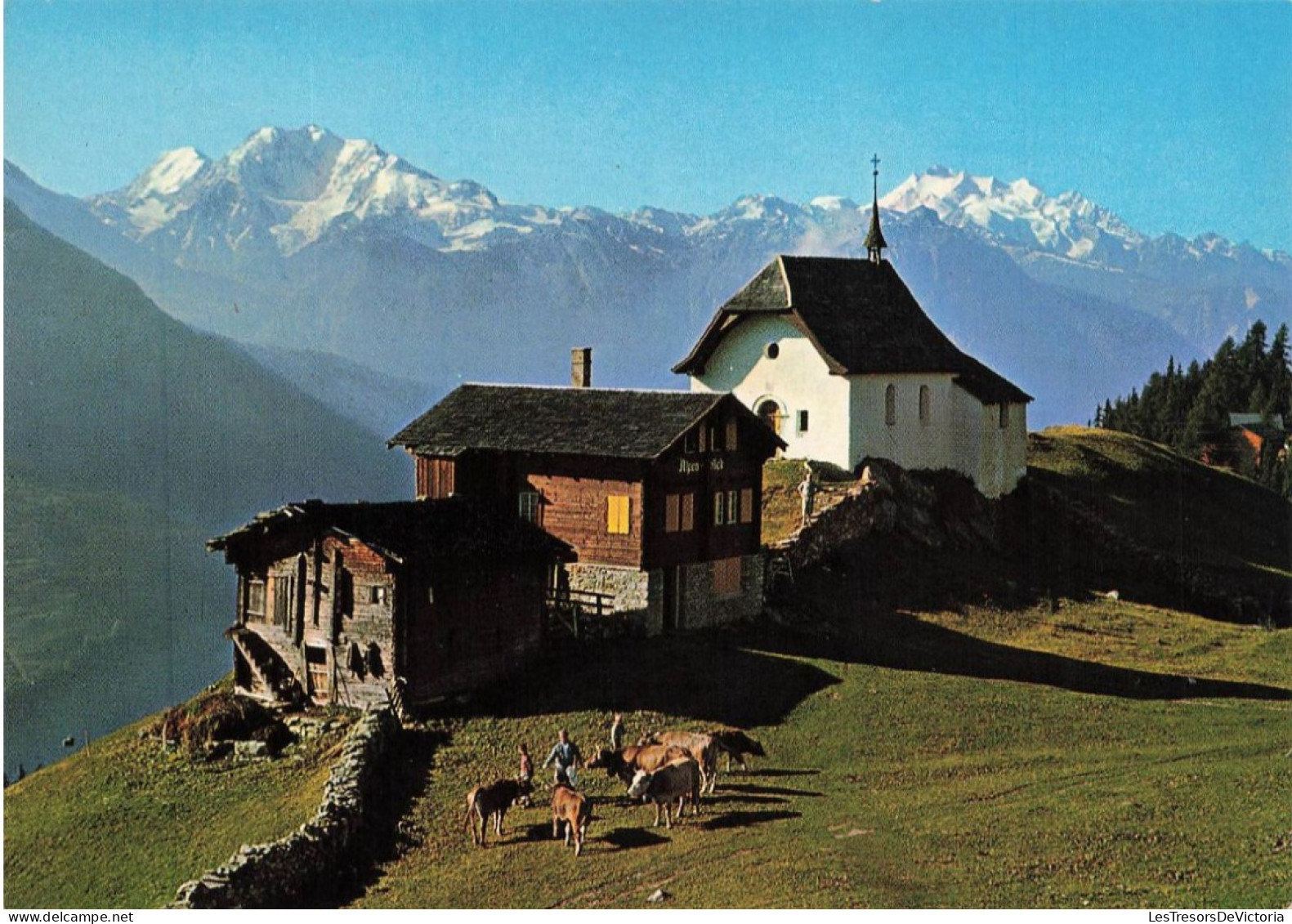 SUISSE -  Bettmaralp 1938 m (Wallis) - Fletschhorn 3996 m und Dom 4545 m -  animé - maisons - Carte Postale