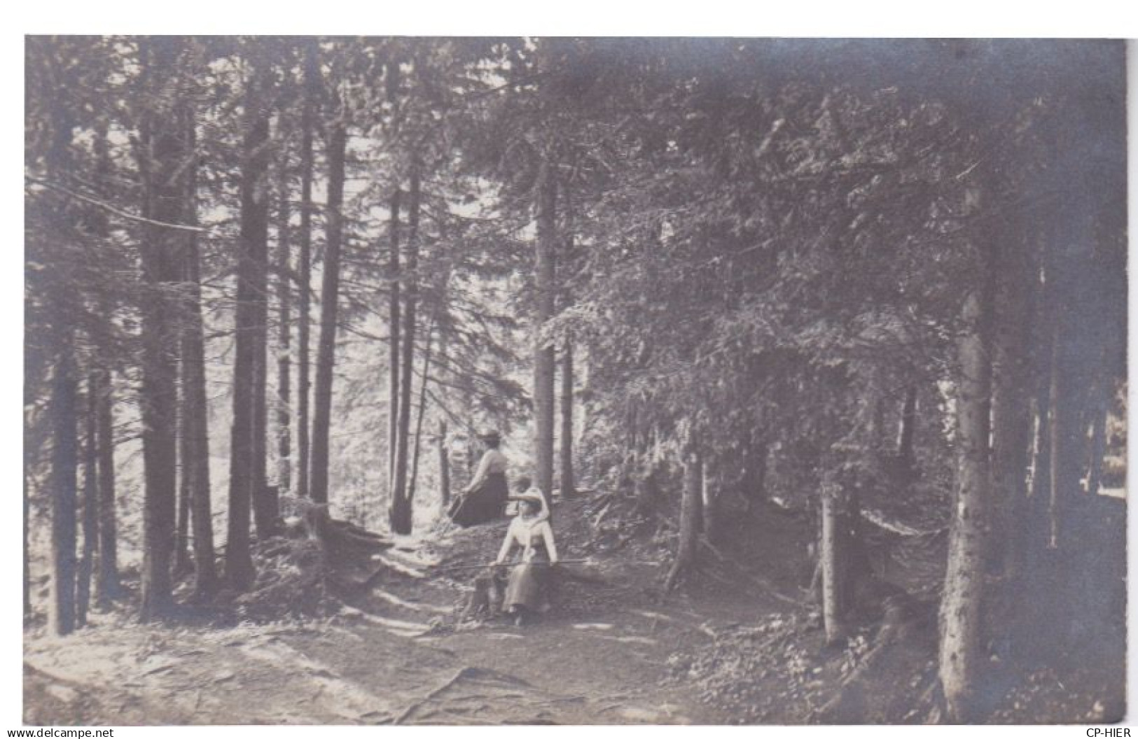 SUISSE - CARTE-PHOTO A IDENTIFIER - VOIR TEXTE  DANS LES SAPINS A MURREUX ?  OU MURREN