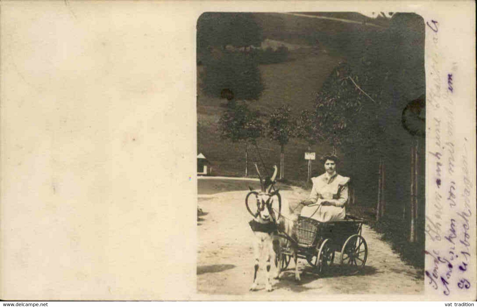 SUISSE - Carte postale photo - Voiture à Chèvre - L 76564