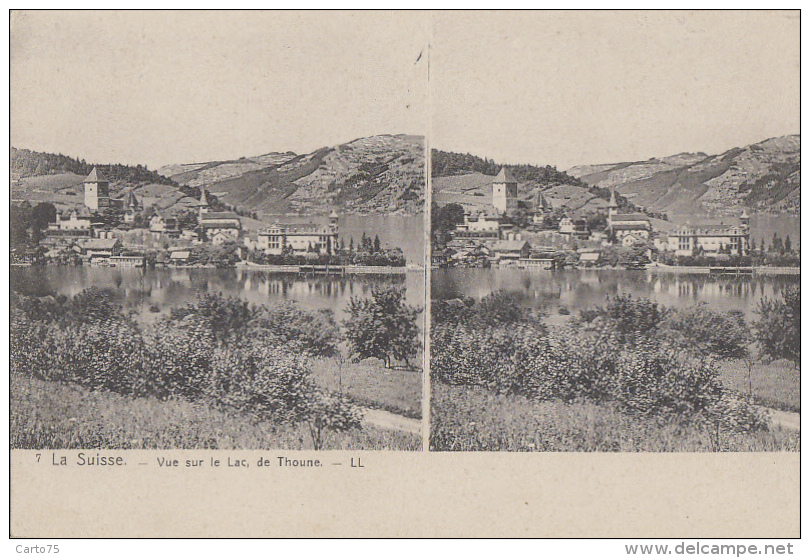 Suisse - Carte Stéréoscopique - Vue sur le Lac de Thoune