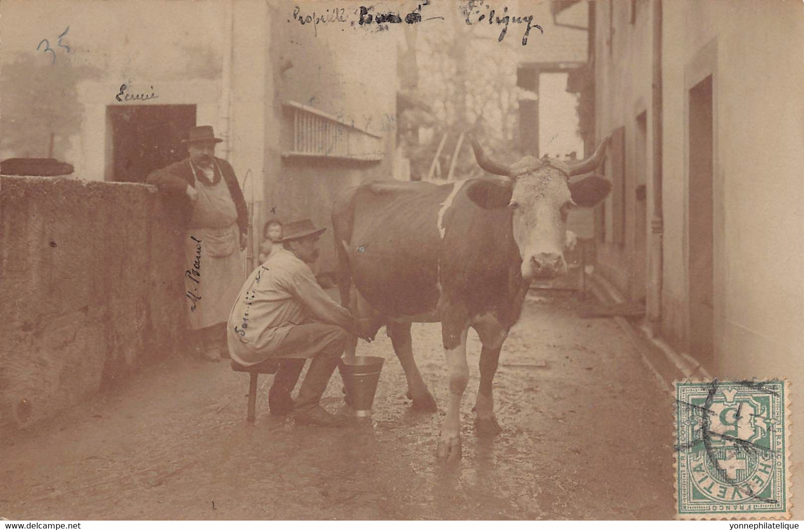 SUISSE  - CELIGNY  - AGRICULTURE - carte photo - Intérieur d'une ferme   (A-198) voir scan recto verso