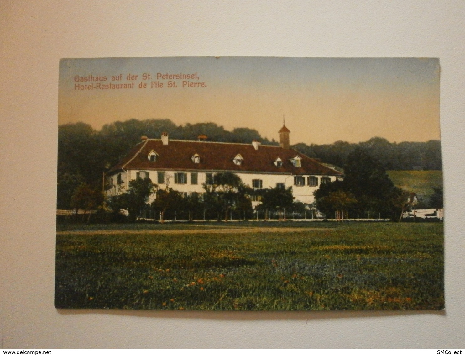 Suisse (Cerlier) Gasthaus aus der St Pertersinsel / Hotel restaurant de l'île Saint Pierre (8460)