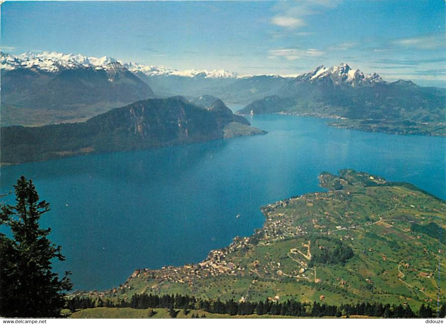 Suisse - LU Lucerne - Hertenstein-Weggis - Kurort Weggis Hertenstein vom Rigi aus, mit Pilatus, Bijrgenstock und Alpen -