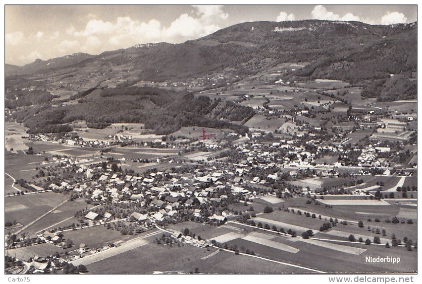 Suisse - Niederbipp - Panorama aérien