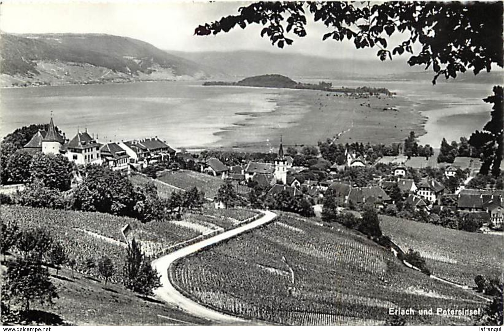 suisse - ref D219- cerlier et l ile de st pierre - erlach und petersinsel - carte bon etat