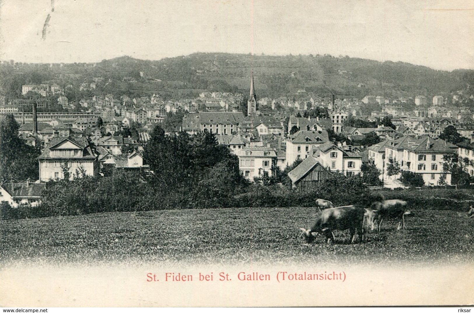 SUISSE(SAINT FIDEN) SAINT GALLEN(VACHE)