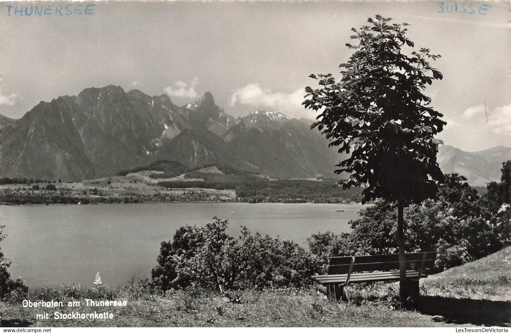 SUISSE - Thoune - Lac de Thoune - Vue d'ensemble - Carte Postale Ancienne