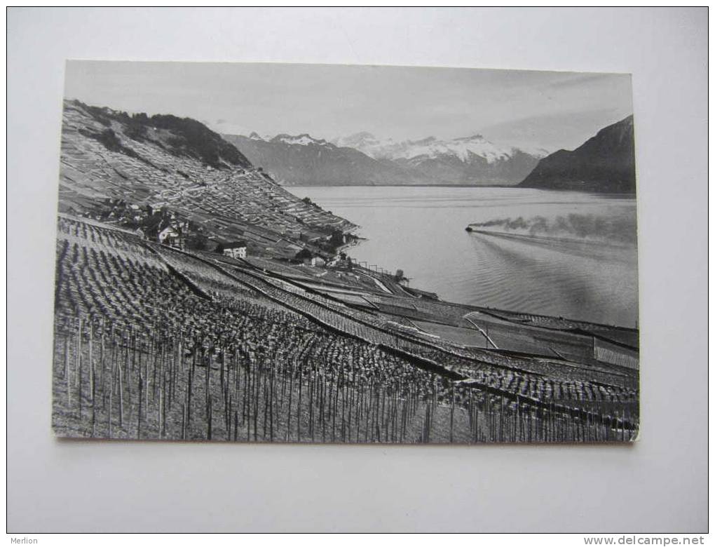 Suisse  VD  LAVAUX  -prés de Riex et les Alpes   D72712